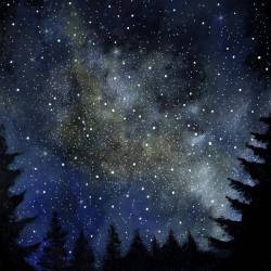 Nachteule : Vaste Inconnu